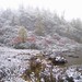 Hai Hu Photo 10