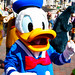 Donald Good Photo 28