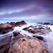 Ray Carrillo Photo 22