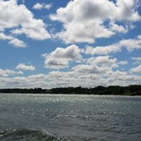 Anne King Photo 20