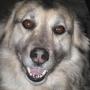 Janet Pederson Photo 14