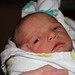 Joshua Baron Photo 15
