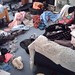 Emily Pack Photo 22