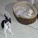 Billy Neeley Photo 9