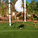 Richard Kasper Photo 10