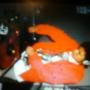 Kevin Talavera Photo 3
