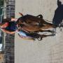 Heather Daniels Photo 37