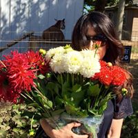 Nancy Snyder Photo 37