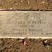 Mary Daigle Photo 14