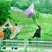 Paul Morse Photo 40