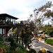 Steven Sims Photo 31