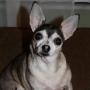 Wanda Cresswell Photo 2