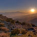 Joshua Howell Photo 36