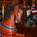 David Spillman Photo 33