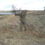 Joseph Watkins Photo 15