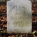 Stephen Pine Photo 21