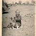 Dorothy Butler Photo 5