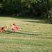 Jill Monk Photo 11
