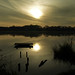 Helen Carr Photo 45