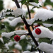 Kristina Berry Photo 22
