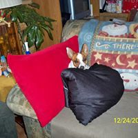 Nina Greene Photo 10