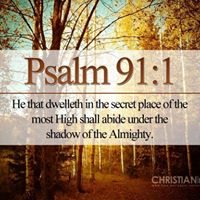 Teresa Stephens Photo 29