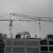 Leary Chase Photo 2