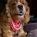 Hollie Winters Photo 13