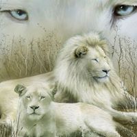Debra Carver Photo 34