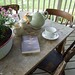 Ann Stone Photo 12