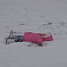 Arlene Snow Photo 5