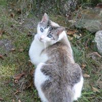 Diane Roberts Photo 36