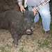 Tracy Hunt Photo 30
