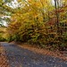 Steven Hecker Photo 17