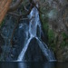 Nancy Talley Photo 22