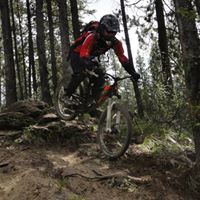 Carl Potts Photo 29
