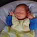 Paul Petit Photo 22