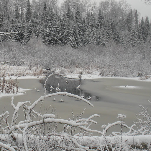 Steven Oakes Photo 30