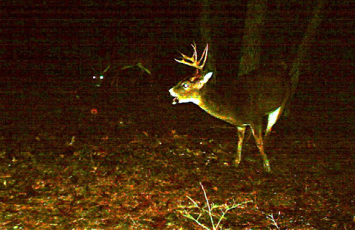 John Conover Photo 19