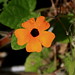 Susan South Photo 26