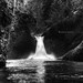 Dennis Black Photo 14