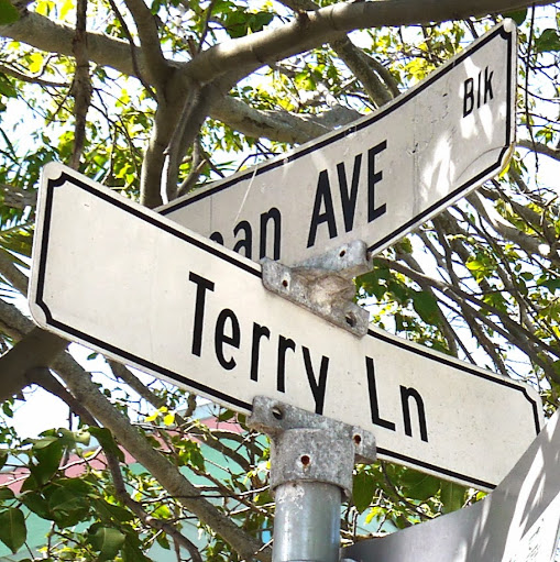 Terry Lin Photo 27