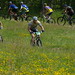 Scott Bruce Photo 12