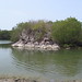 Scott Noble Photo 9