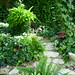 Fannie Austin Photo 9