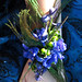 Liz Peacock Photo 23