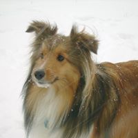 Kathlene Warren Photo 4