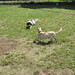 Dora Brown Photo 24
