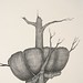 Edwin Allen Photo 15