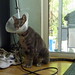 Tracy Benson Photo 36